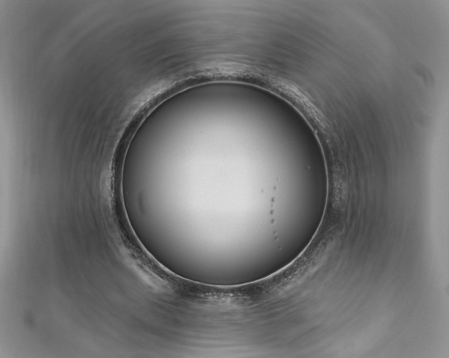 X0000113180439200909041346