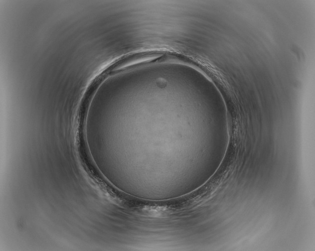 X0000113180440200909041346