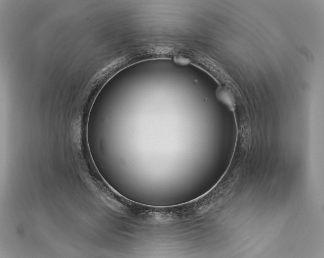 X0000113180442200909041346