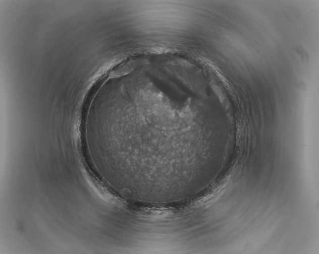 X0000113180443200909041346