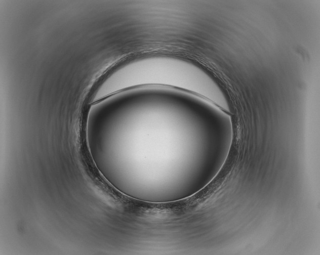 X0000113180444200909041346