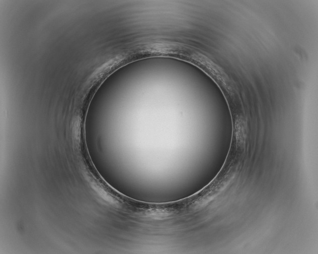 X0000113180445200909041346