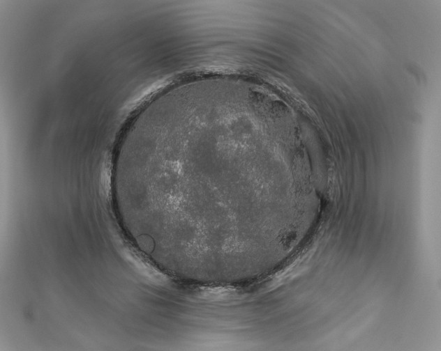 X0000113180446200909041346