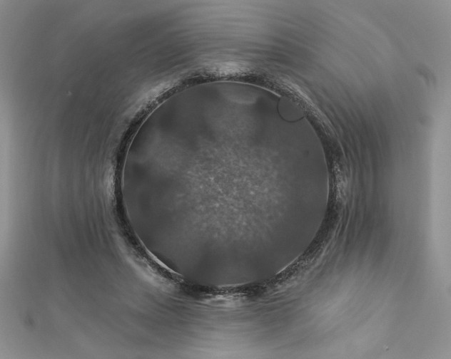 X0000113180447200909041346