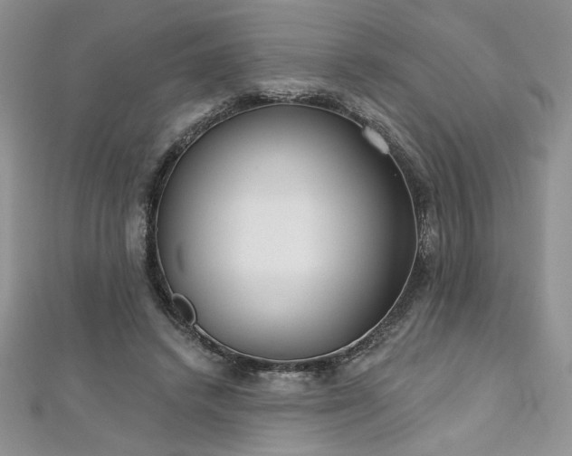 X0000113180448200909041346