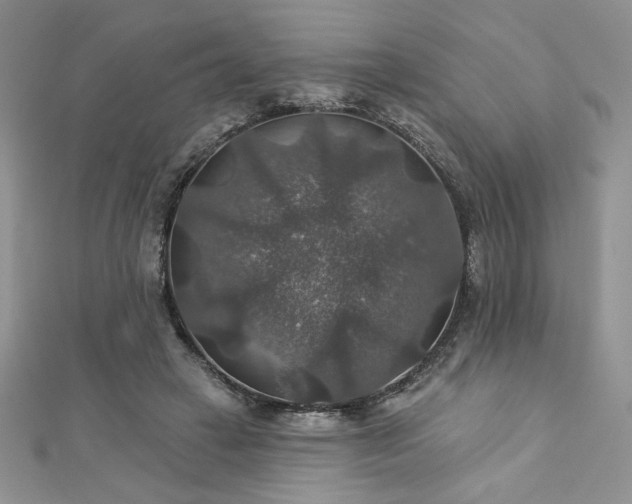 X0000113180449200909041346