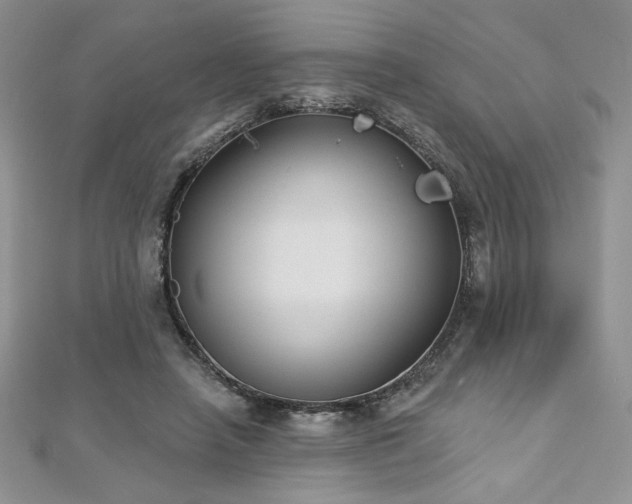 X0000113180450200909041346