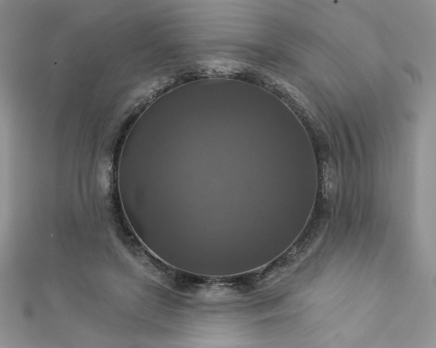 X0000113180451200909041346
