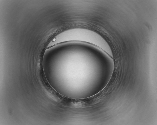 X0000113180452200909041347