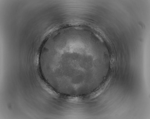 X0000113180454200909041347