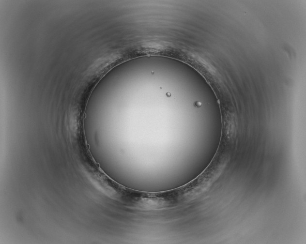 X0000113180455200909041347