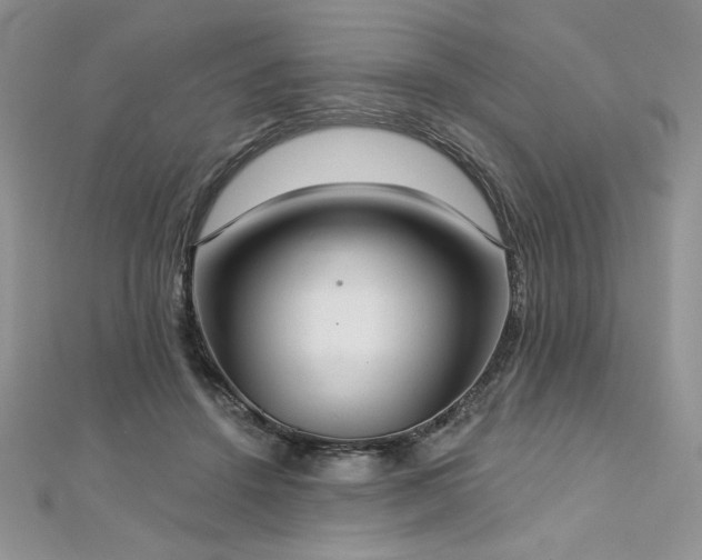 X0000113180456200909041347