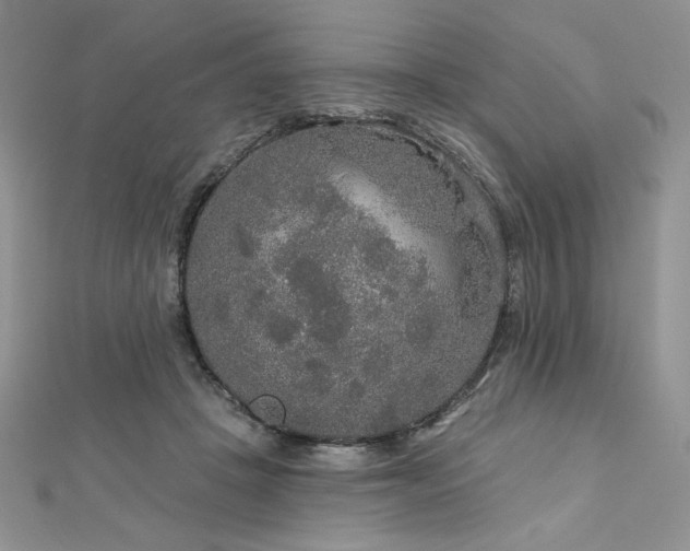 X0000113180457200909041347