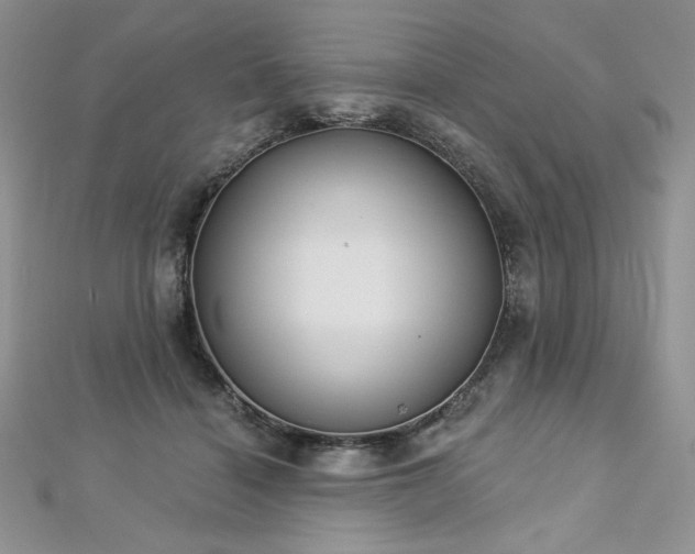 X0000113180460200909041347