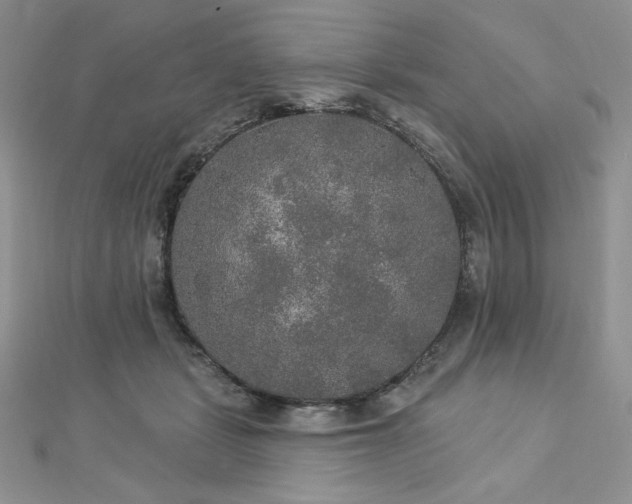 X0000113180461200909041347