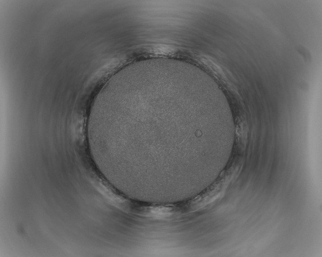 X0000113180462200909041347