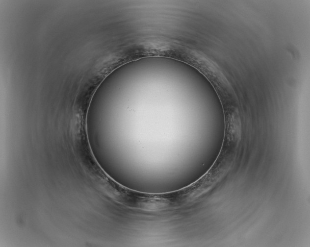 X0000113180463200909041347