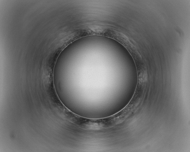 X0000113180464200909041347