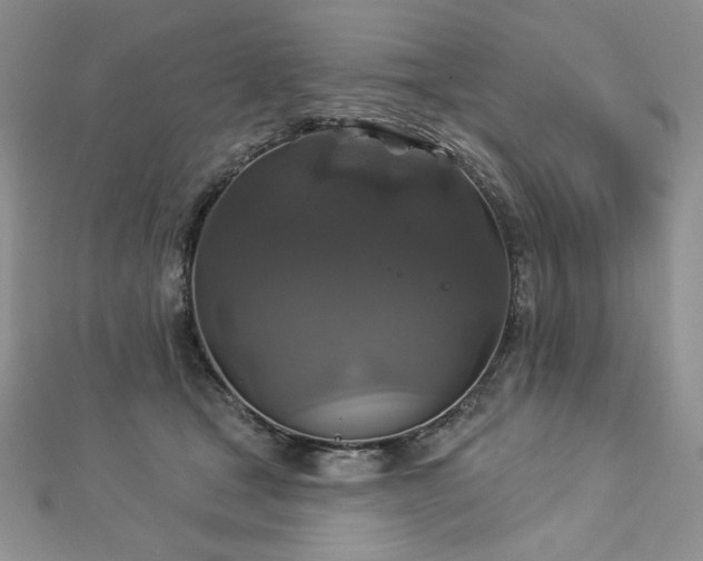 X0000113180465200909041347