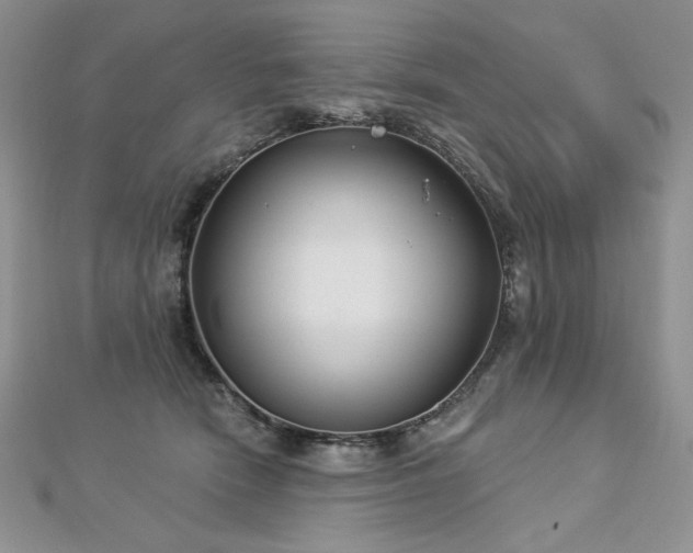 X0000113180466200909041347