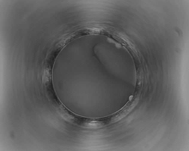 X0000113180467200909041347