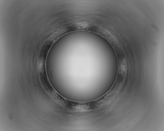 X0000113180468200909041347