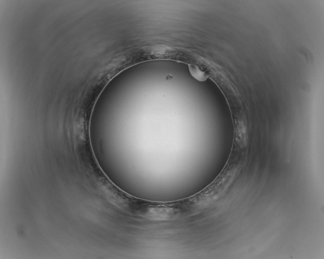 X0000113180470200909041347