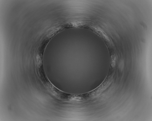 X0000113180471200909041347