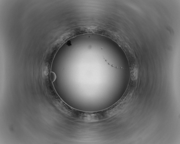 X0000113180472200909041347