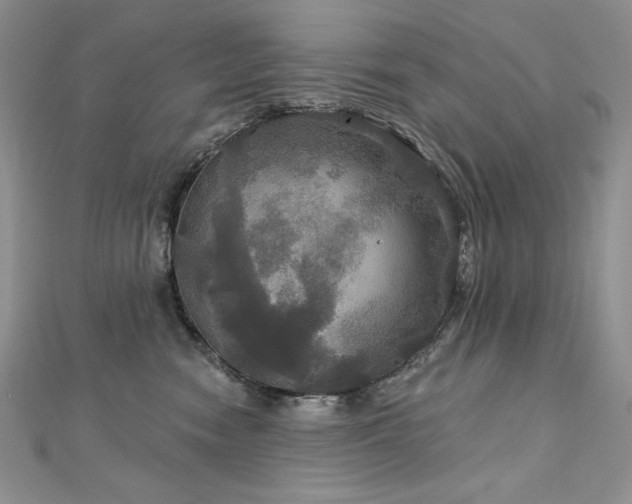 X0000113180474200909041347