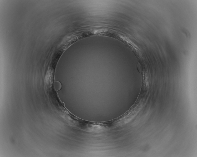 X0000113180475200909041347