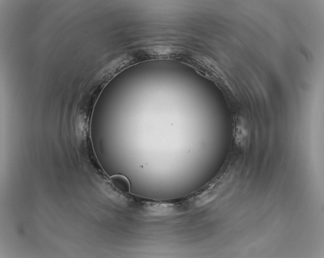 X0000113180476200909041347