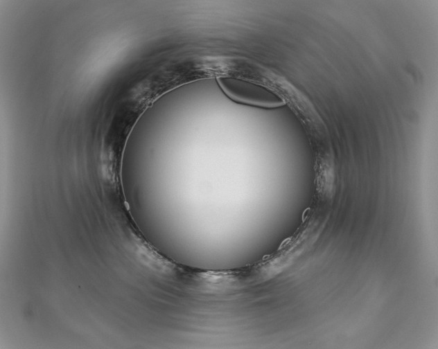 X0000113180477200909041347