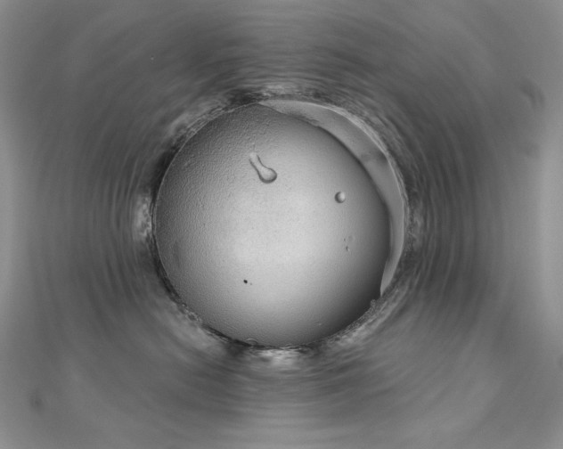 X0000113180478200909041347