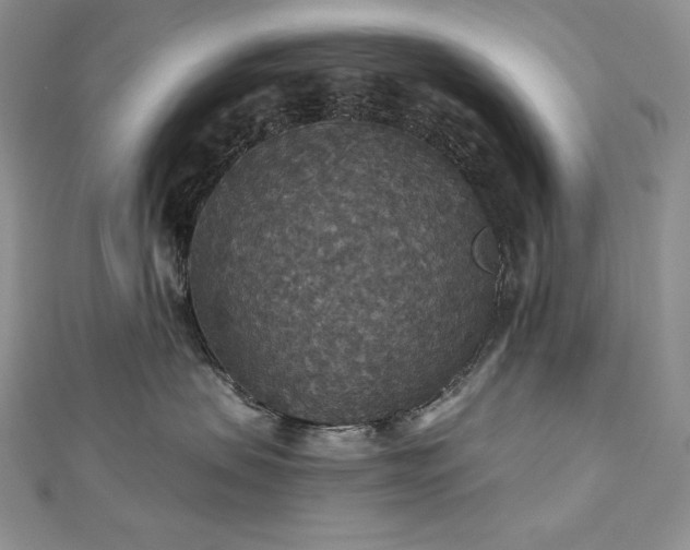 X0000113180479200909041347