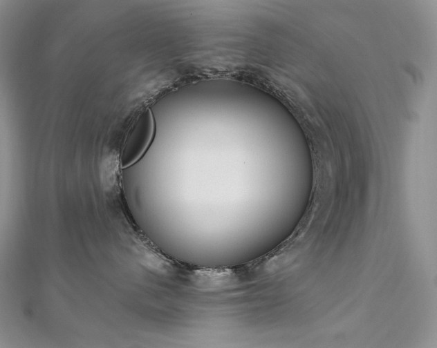 X0000113180480200909041347