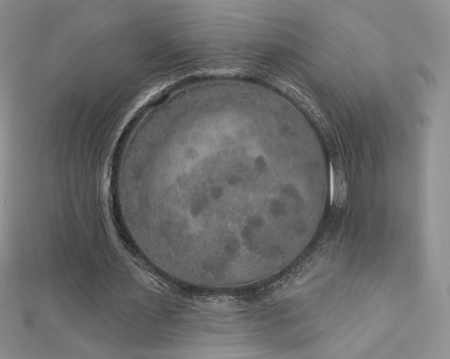 X0000113180483200909041346