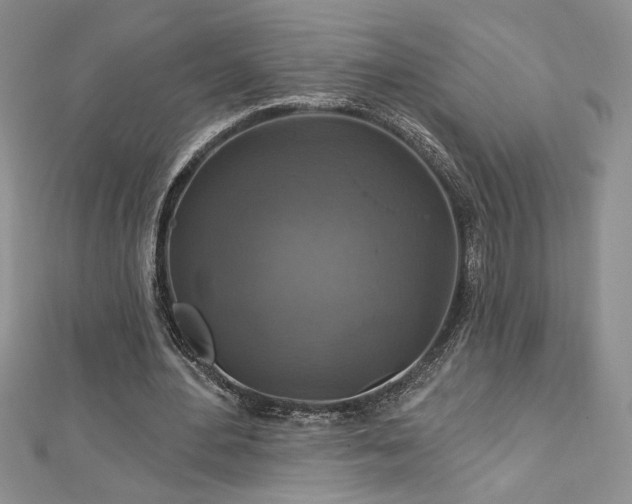 X0000113180484200909041346