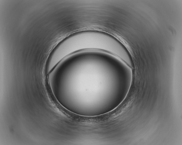 X0000113180485200909041346