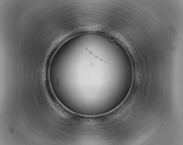 X0000113180486200909041346