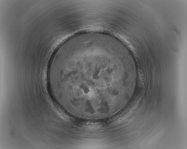 X0000113180487200909041346