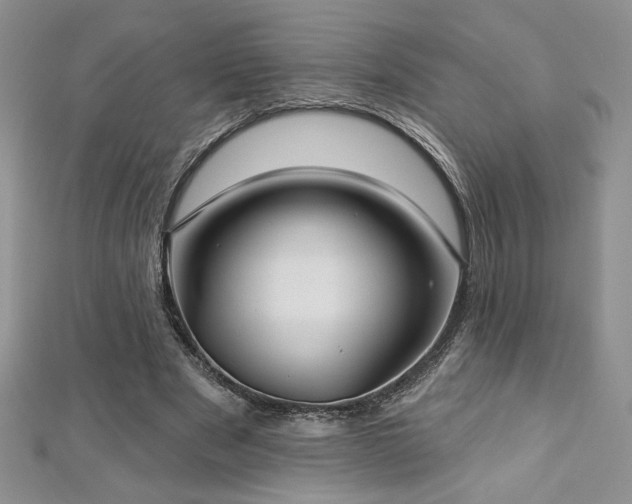 X0000113180489200909041346