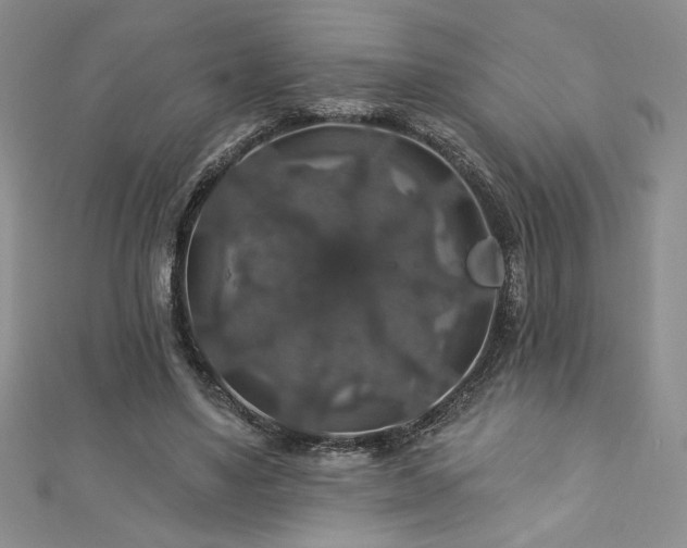 X0000113180491200909041346