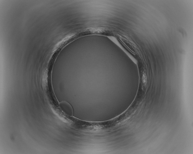X0000113180492200909041346