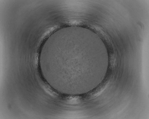 X0000113180495200909041346