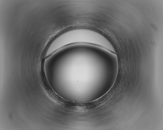X0000113180496200909041346