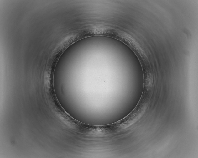 X0000113180497200909041346