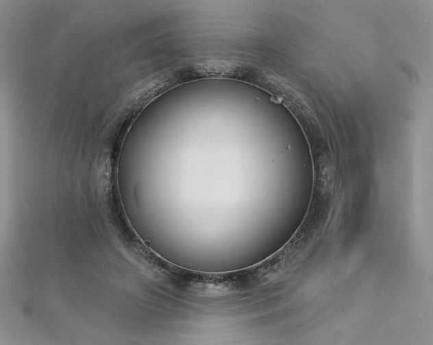 X0000113180498200909041346