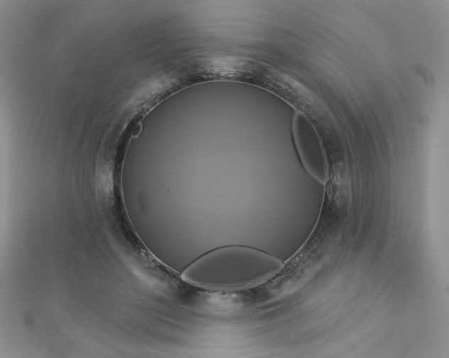 X0000113180500200909041346