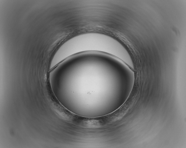 X0000113180501200909041346